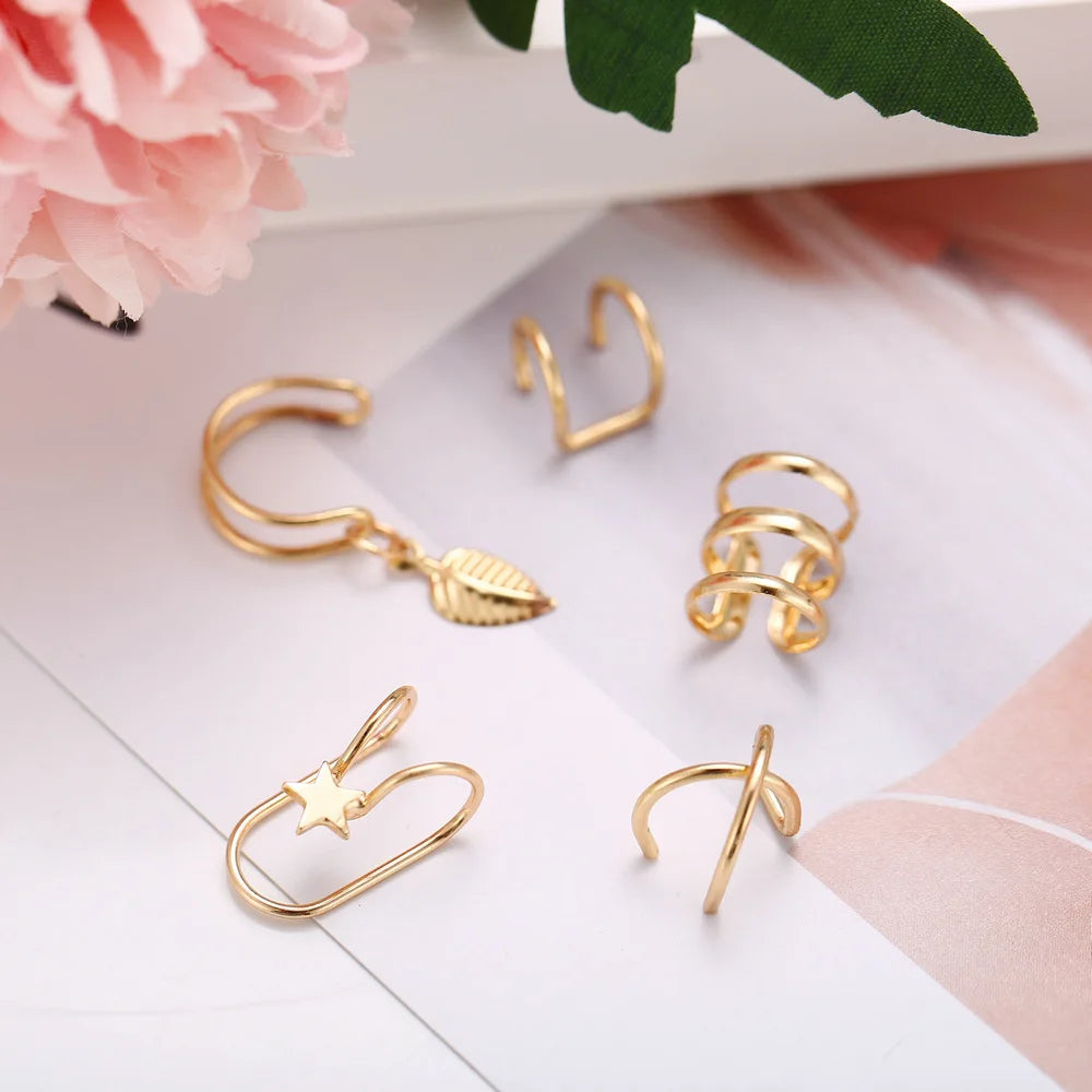 Non-Piercing Ear Clip Earrings