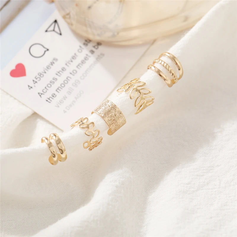 Non-Piercing Ear Clip Earrings